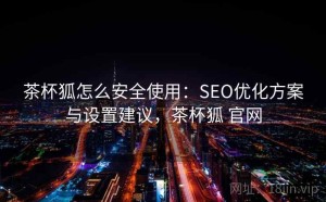 茶杯狐怎么安全使用：SEO优化方案与设置建议，茶杯狐 官网
