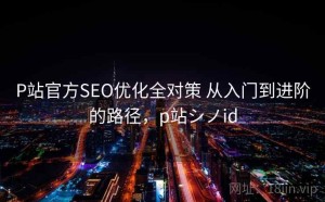 P站官方SEO优化全对策 从入门到进阶的路径，p站シノid