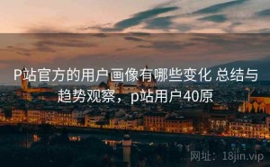 P站官方的用户画像有哪些变化 总结与趋势观察，p站用户40原