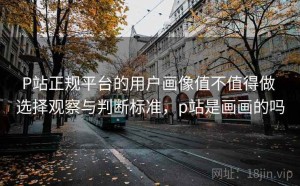 P站正规平台的用户画像值不值得做 选择观察与判断标准，p站是画画的吗