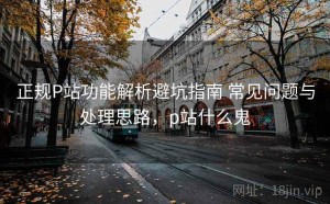 正规P站功能解析避坑指南 常见问题与处理思路，p站什么鬼
