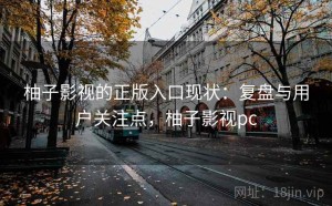 柚子影视的正版入口现状：复盘与用户关注点，柚子影视pc