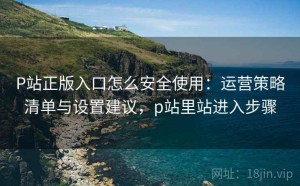P站正版入口怎么安全使用：运营策略清单与设置建议，p站里站进入步骤
