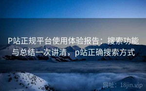 P站正规平台使用体验报告：搜索功能与总结一次讲清，p站正确搜索方式