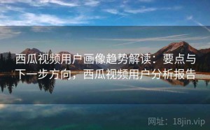 西瓜视频用户画像趋势解读：要点与下一步方向，西瓜视频用户分析报告