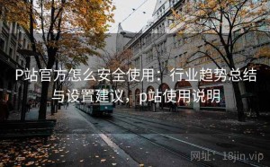 P站官方怎么安全使用：行业趋势总结与设置建议，p站使用说明