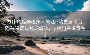 为什么越来越多人关注P站官方平台 隐私设置与技巧解读，p站用户设置在哪