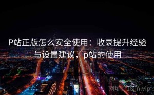 P站正版怎么安全使用：收录提升经验与设置建议，p站的使用