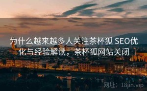 为什么越来越多人关注茶杯狐 SEO优化与经验解读，茶杯狐网站关闭