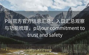 P站官方官方信息汇总：入口汇总观察与功能梳理，p站our commitment to trust and safety
