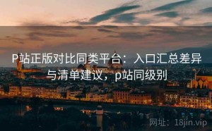 P站正版对比同类平台：入口汇总差异与清单建议，p站同级别