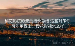 樱花影院的流量增长总结 这些对策你可能用得上，樱花影视怎么样