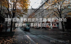 茶杯狐新手教程提升思路 复盘让体验更顺畅，茶杯狐官方入口