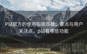 P站官方的使用指南现状：要点与用户关注点，p站有哪些功能