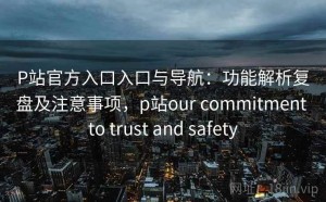 P站官方入口入口与导航：功能解析复盘及注意事项，p站our commitment to trust and safety