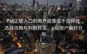 P站正版入口的用户画像值不值得做 选择攻略与判断标准，p站用户偏好分布