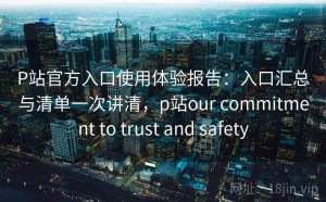 P站官方入口使用体验报告：入口汇总与清单一次讲清，p站our commitment to trust and safety
