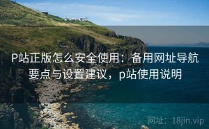 P站正版怎么安全使用：备用网址导航要点与设置建议，p站使用说明