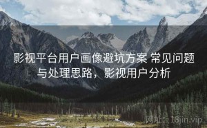 影视平台用户画像避坑方案 常见问题与处理思路，影视用户分析