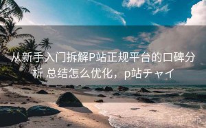 从新手入门拆解P站正规平台的口碑分析 总结怎么优化，p站チャイ