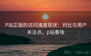P站正版的访问速度现状：对比与用户关注点，p站看啥