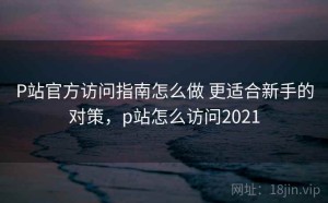 P站官方访问指南怎么做 更适合新手的对策，p站怎么访问2021