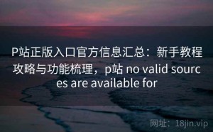P站正版入口官方信息汇总：新手教程攻略与功能梳理，p站 no valid sources are available for