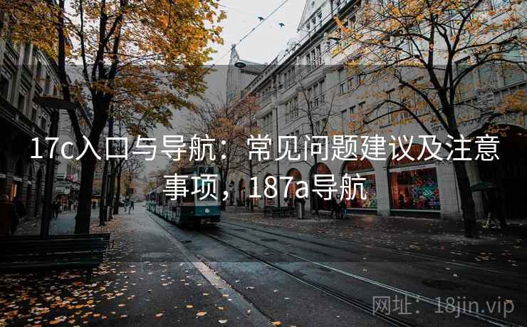 17c入口与导航：常见问题建议及注意事项，187a导航