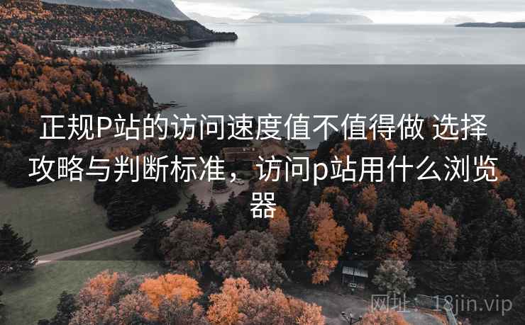 正规P站的访问速度值不值得做 选择攻略与判断标准,访问p站用什么浏览器 正规P站的访问速度值不值得做 选择攻略与判断标准,访问p站用什么浏览器