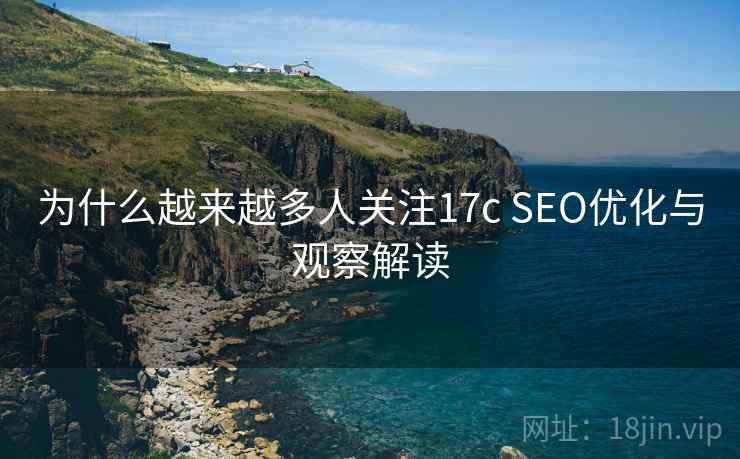 为什么越来越多人关注17c SEO优化与观察解读