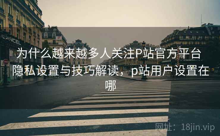 为什么越来越多人关注P站官方平台 隐私设置与技巧解读，p站用户设置在哪