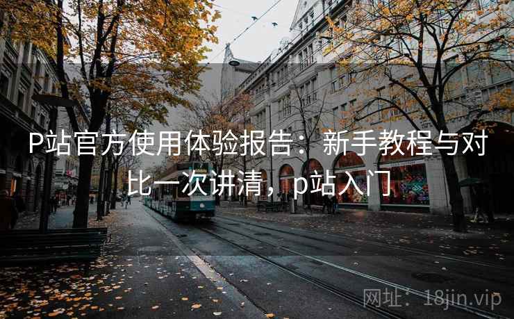 P站官方使用体验报告:新手教程与对比一次讲清,p站入门 P站官方使用体验报告:新手教程与对比一次讲清,p站入门
