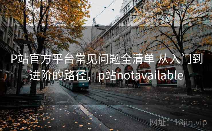 P站官方平台常见问题全清单 从入门到进阶的路径，p站notavailable