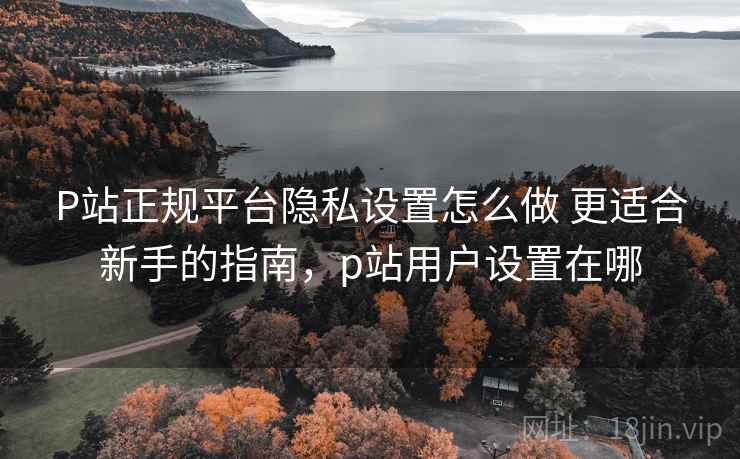 P站正规平台隐私设置怎么做 更适合新手的指南,p站用户设置在哪 P站正规平台隐私设置怎么做 更适合新手的指南,p站用户设置在哪