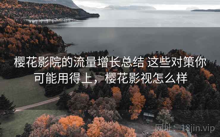 樱花影院的流量增长总结 这些对策你可能用得上，樱花影视怎么样