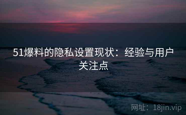 51爆料的隐私设置现状:经验与用户关注点 51爆料的隐私设置现状:经验与用户关注点