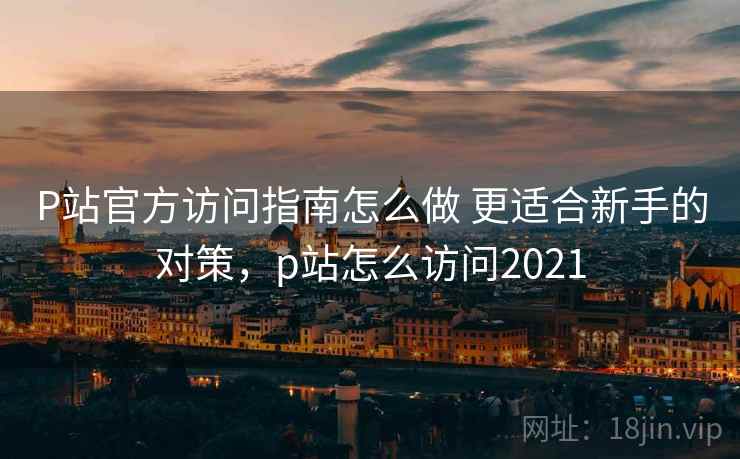 P站官方访问指南怎么做 更适合新手的对策，p站怎么访问2021