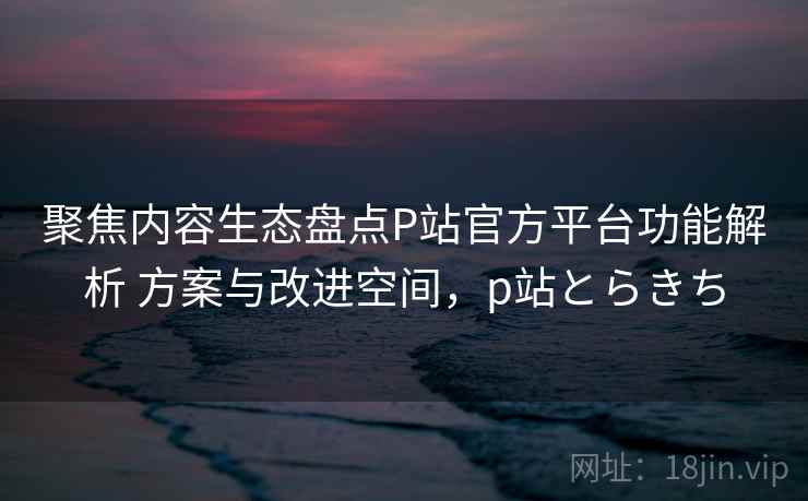 聚焦内容生态盘点P站官方平台功能解析 方案与改进空间，p站とらきち
